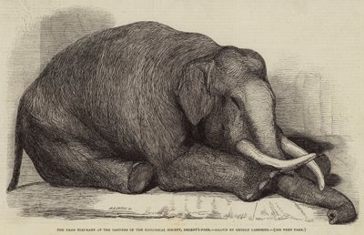 The Dead Elephant at the Gardens of the Zoological Society, Regent